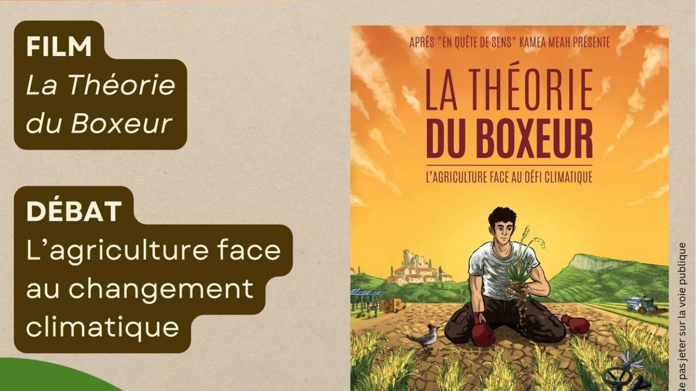 La Théorie du Boxeur