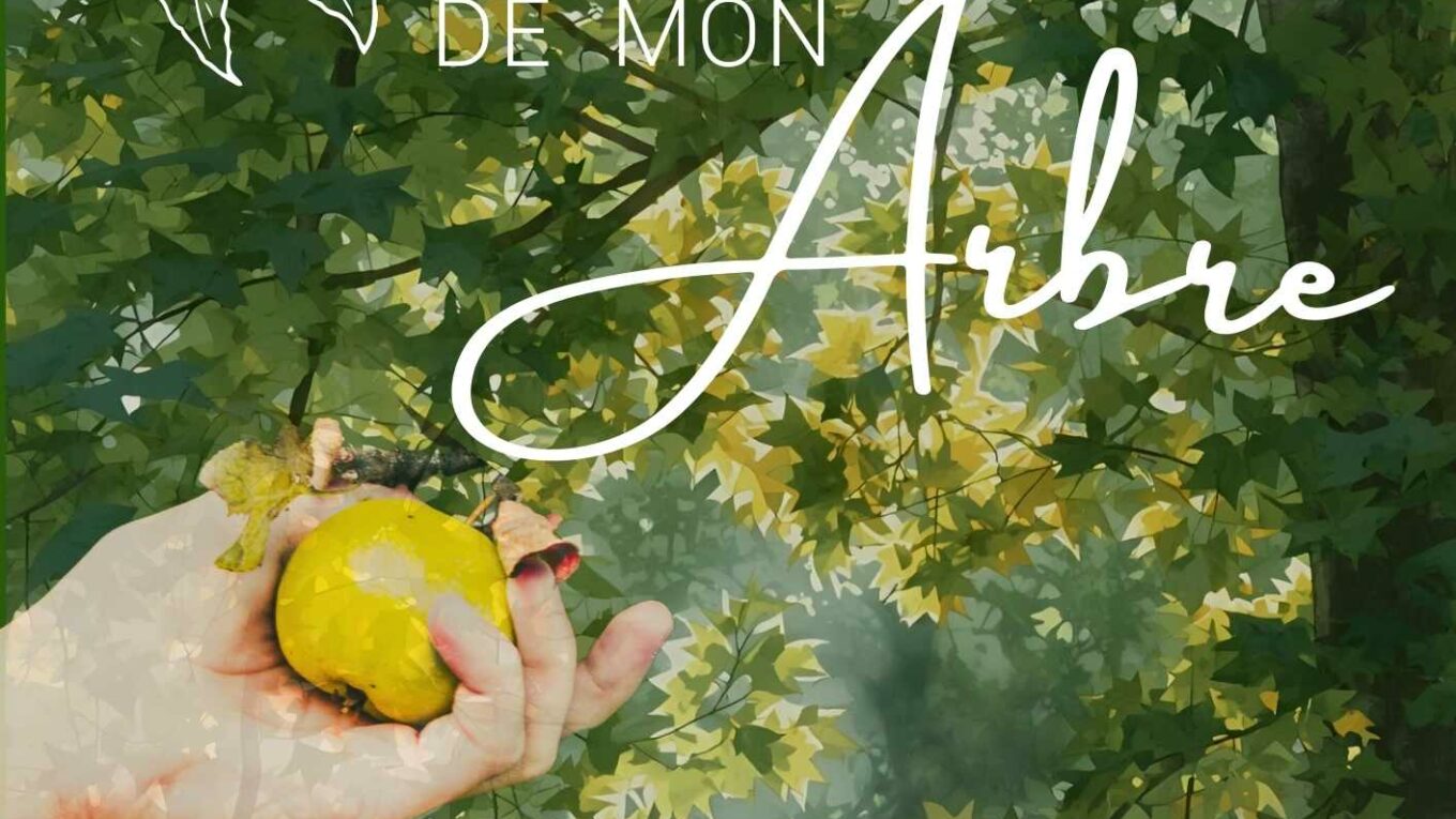 Auprès de mon arbre